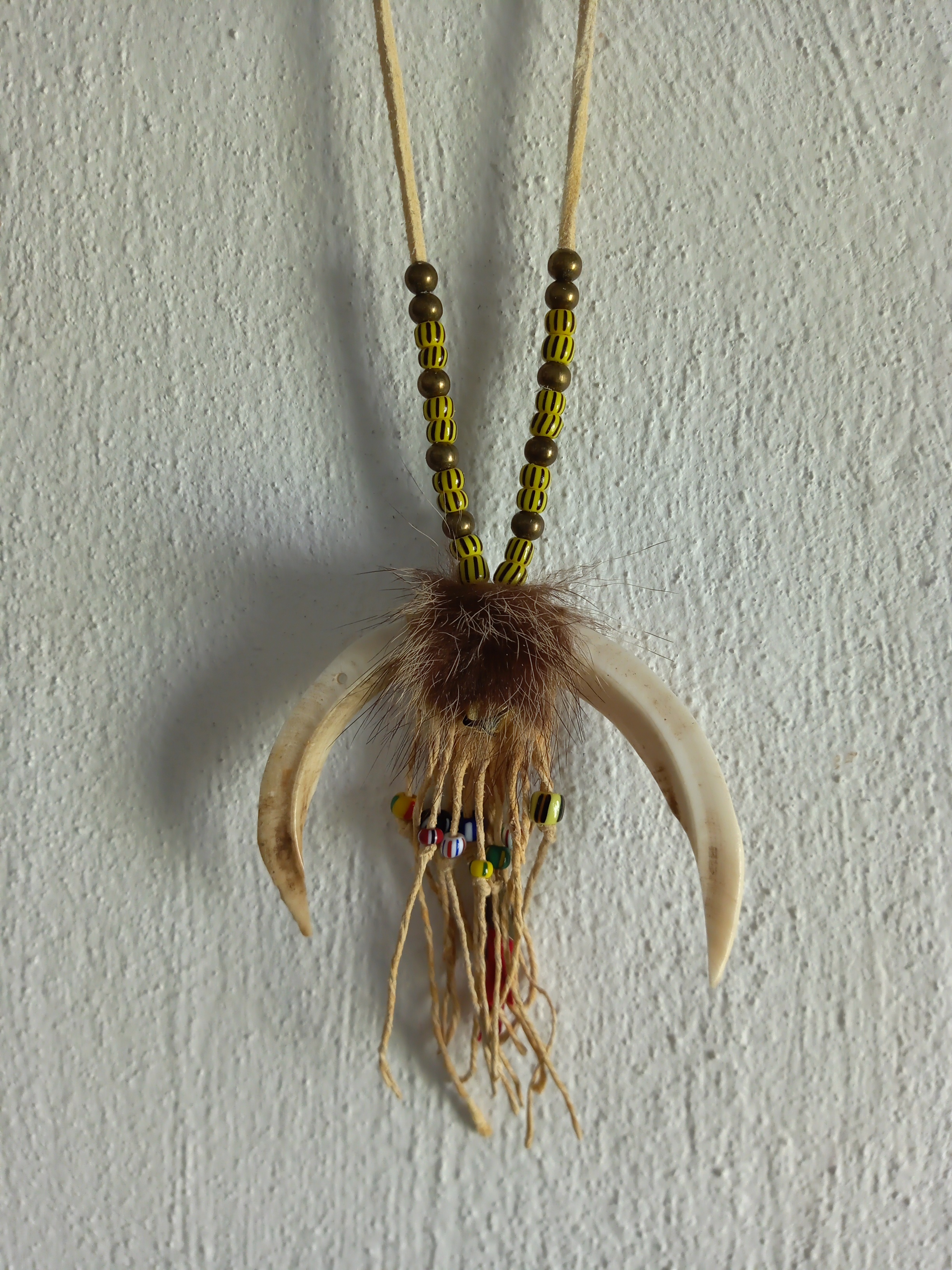amulet na krk z rozpůlených špičáků