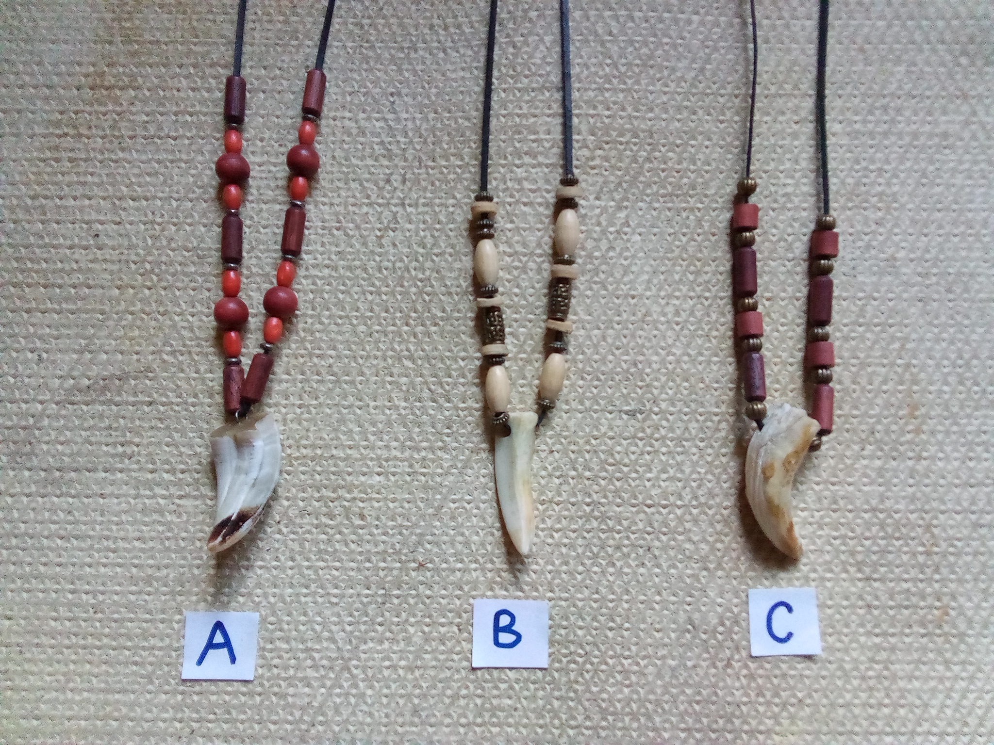 amulet na krk zub divočáka