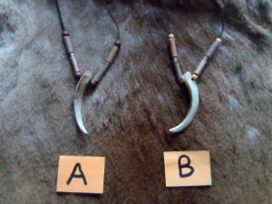 náhrdelník zub z divočáka